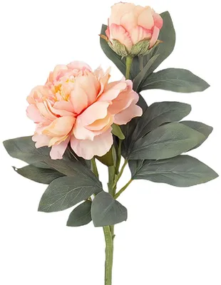 Produktbild von Clayre & Eef 5PL0377P Dekorativer Zweig mit Blumen Rosa Grün 73 cm