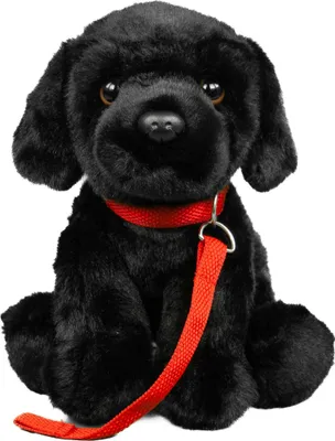 A black plush Labrador dog wearing a red collar and leash, sitting on a white background.