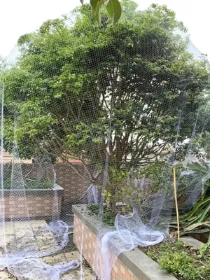 Imagen del producto de Malla protectora de nylon para aves, versátil barrera para gallineros, fácil de instalar, 5 metros x 5 metros