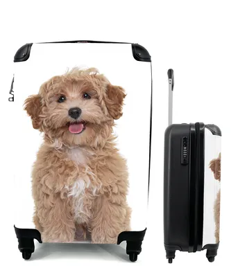 Produktbild von MuchoWow® Koffer Handgepäck Trolley Rollkoffer Kleine Reisekoffer mit 4 Rollen - Hund - Haustiere - Fell - Cabin Size < 55x40x23 cm & 55x40x20 cm - Fotokoffer - Kabinenkoffer - Boardgepäck - Reise-Box - Reisekoffer - Reisegepäck - Koffer mit Bild - Trolley für Kinder