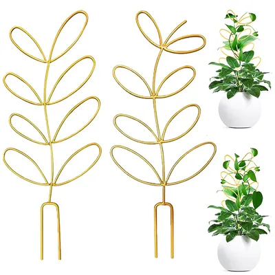 Produktbild von Zimmerpflanzen-Rankhilfe Gold,Metallstütze für Monstera, Hoya, Efeu, 31,5 x 11,6 cm, 1er-Pack
