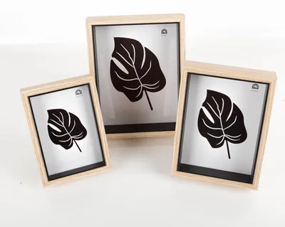 Produktbild von Bilderrahmen 3er Set zweifarbig Holz schwarz natur