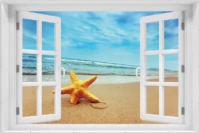 Produktbild von Wallario Wandbild mit Fenster-Illusion: Seestern am Strand am Meer, Größe: 61 x 91,5 cm, Poster mit rahmenlosen Bildhalter