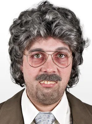 Produktbild von Graue Locken Perücke Reporter - für Fasching