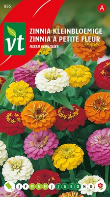 Obrázok produktu pre Zinnie Nain Liliput semená - Ca. 1 gr | VT_885