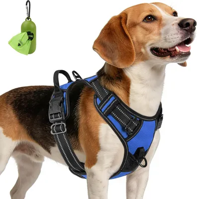 Produktbild von Hundegeschirr M, ausgiebig reflektierend, verstellbar, für Spaziergang