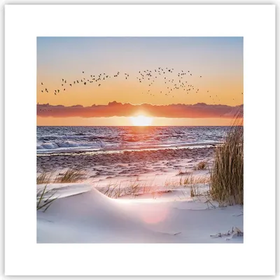 Produktbild von Poster - Poster ohne Rahmen - Sonne Strand Vögel - 30x30 cm - Wand Bild - Wanddeko - Wandbilder - Kunstposter - Wandposter - Bilder - Kunstdruck - Wanddekoration - Wandbild - P2XAC30x30-4727