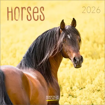Produktbild von Horses 2026