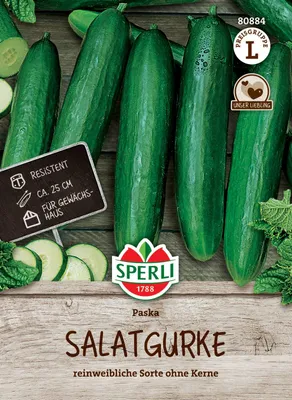 Produktbild von Salatgurke Paska F1-Hybride | Gurkensamen von Sperli