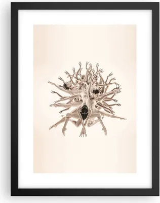 Produktbild von Gerahmtes Poster - Schwarzer Rahmen - Modern Stück Ballett - 30x40 cm - Wand Bild - Wanddeko - Wandbilder - Kunstposter - Wandposter - Bilderrahmen - Bilder - Kunstdruck - P2BPA30x40-4636