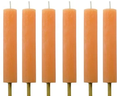 Zdjęcie produktu dla Zestaw 6 świec ogrodowych Cactula Orange – Ø 3,8 x 20 cm – czas palenia 10 godzin – rustykalne świece ogrodowe