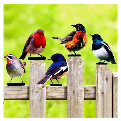 Produktbild von 5 Stück Gartendeko Vögel, Bunt Bemalte 2D Gartenkunst, Vogel Gartenstecker, Künstliche Deko Figuren für die Gartendekoration