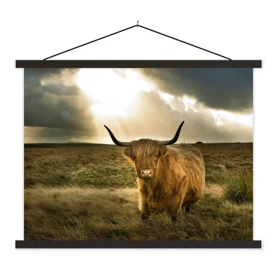 Produktbild von MuchoWow® Textilposter Schottischer Hochländer - Sonne - Tiere 40x30 cm mit schwarzem Rahmen - Dekorationen