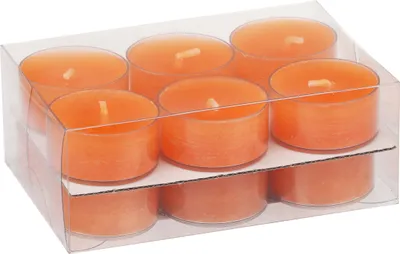 Produktbild von Teelichter in Kunststoffhülle Orange 18/38mm, 12er-Pack Steinhart Kerzen in RAL-Kerzen Güte Qualität