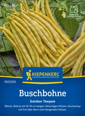 Produktbild von Kiepenkerl Buschbohnensamen Golden Teepee Phaseolus vulgaris nanus 8-10 lfd. Meter