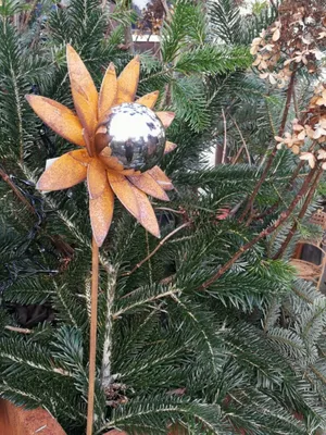 Produktbild von Edelrost Blume Valisa mit Edelstahlkugel, klein