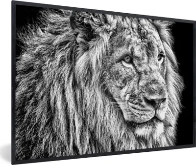 Produktbild von MuchoWow® Gerahmtes Poster Porträt - Löwe - Schwarz und weiß - Tiere 90x60 cm - Poster mit Schwarzem Bilderrahmen Wandposter Rahmen Foto Bilder - Fotorahmen - Foto-Plakat