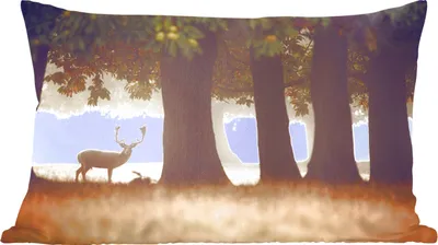 Produktbild von MuchoWow® Zierkissen Sofakissen Wohnzimmer Dekokissen 50x30 cm Hirsche - Bäume - Wald - Wohnzimmerdekoration - Polster mit Photo