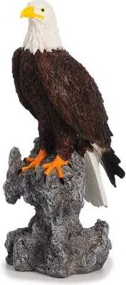 Produktbild von Deko Figur Weißkopfseeadler 32 cm, Adler Dekofigur Vogel Greifvogel Tier Figuren