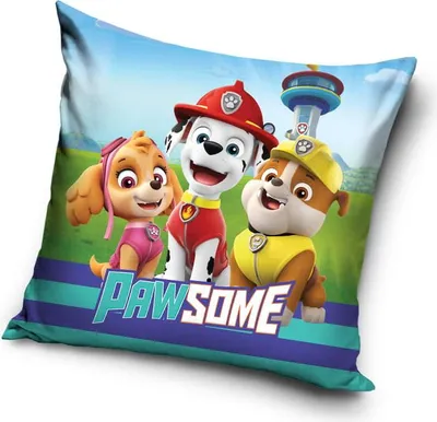 Immagine prodotto di Federa in microfibra 40x40 Cuccioli PAW PATROL