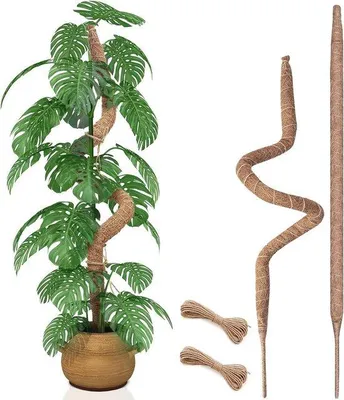 Image de Tuteur flexible à sangles de 71 cm de haut pour plantes