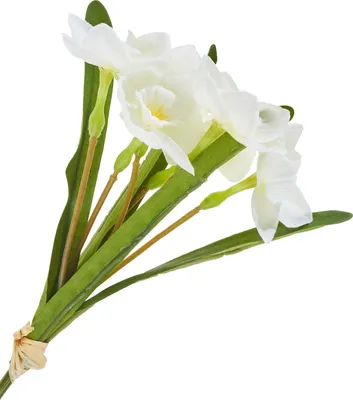 Produktbild von Kunstblumen Narzissen Bund aus Kunststoff, 2 Stück, 33 cm, Blüten-Ø 5.5 cm