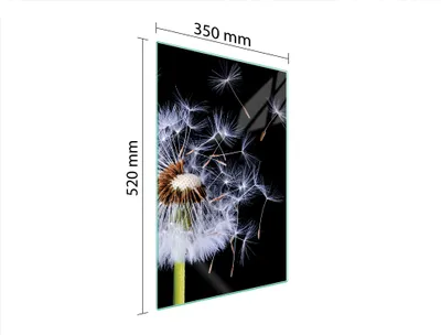 Produktbild von Glas-Schneidebrett 35x52 cm, Blumen-Motiv, hygienisch, kratzfest, geruchsneutral, Servierplatte