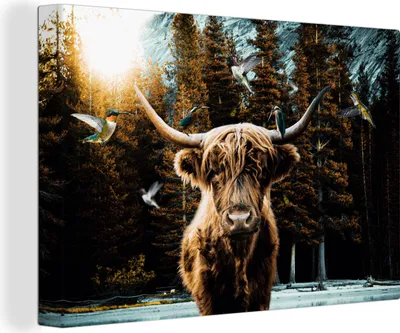 Zdjęcie produktu dla MuchoWow® - Obraz na płótnie - Szkocki góral - Koliber - Las, fototapeta, dekoracja ścienna, obrazy do salonu, 120x80cm