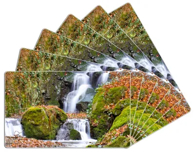 Produktbild von Wallario Frühstücksbrettchen 6er Set aus Glas, je 14 x 23 cm, mit rutschfesten Füßen, Motiv Bach im Wald