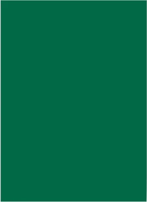 Produktbild von folia Tonpapier DIN A3 130 g/qm tannengrün 50 Blatt