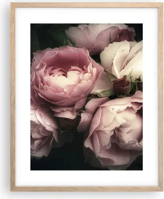 Produktbild von Gerahmtes Poster - Rahmen in heller Eiche - Pfingstrose Blume - 40x50 cm - Wand Bild - Wanddeko - Wandbilder - Wandposter - Bilderrahmen - Bilder - Kunstdruck - Wandbild - P2NPA40x50-3930