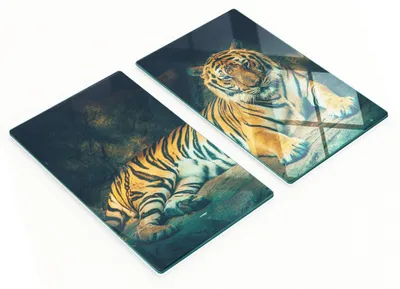 Produktbild von Küchenschneidebretter aus Glas mit Tigerhöhlen-Motiv, 2 x 30 x 52 cm