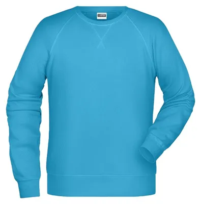 Image de James and Nicholson - Sweat-shirt pour homme LT2494 (M) (turquoise)