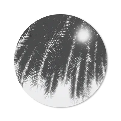 Produktbild von MuchoWow® Mauspad Mousepad Palmenblätter - Tropisch - Sonne - Palme 40x40 cm - Mousepads - Maus Mat - Pad - Mausunterlage - Schreibtisch Accessoires