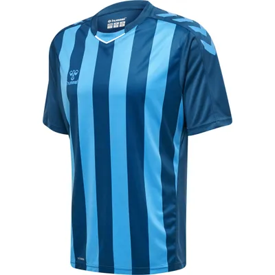 Produktbild von Hummel hmlCORE XK STRIPED JERSEY S/S