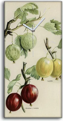 Produktbild von Wandbild Leinwand Bilder mit Uhr Geräuschlos 30x60 Gemälde Früchte Trauben Kunst - weiße Hände