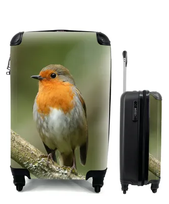 Produktbild von MuchoWow® Koffer Handgepäck Trolley Rollkoffer Kleine Reisekoffer mit 4 Rollen - Vogel - Rotkehlchen - Zweig - Pflanzen - Cabin Size < 55x40x23 cm & 55x40x20 cm - Fotokoffer - Kabinenkoffer - Boardgepäck - Reise-Box - Reisekoffer - Reisegepäck - Koffer mit Bild - Trolley für Kinder