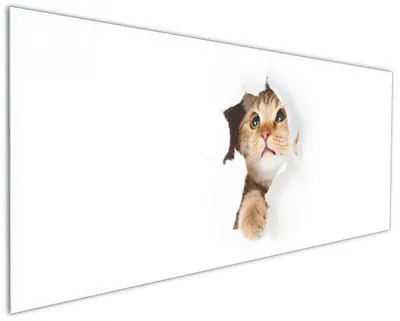 Produktbild von Wallario Küchenrückwand aus Glas, Größe: 125 x 50 cm, Motiv: Katze mit Blick nach oben | Spritzschutz | abwischbar | pflegeleicht | in