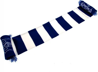Produktbild von Šála Everton FC TA2248 (jedna velikost) (bílá/modrá)