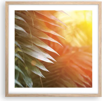 Produktbild von Gerahmtes Poster - Rahmen in heller Eiche - Exotisch Blätter Dämmerung - 50x50 cm - Wand Bild - Wanddeko - Wandbilder - Kunstposter - Wandposter - Bilderrahmen - Bilder - Kunstdruck - P2NAC50x50-4807