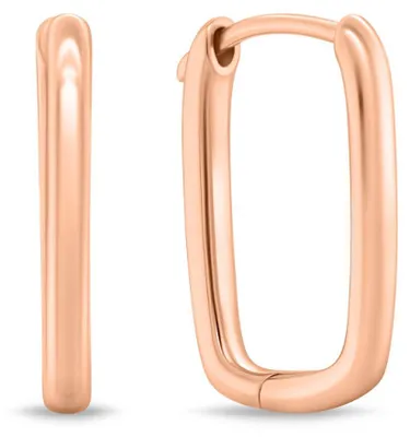 Produktbild von Elegante Bronze-Ohrringe EA764R