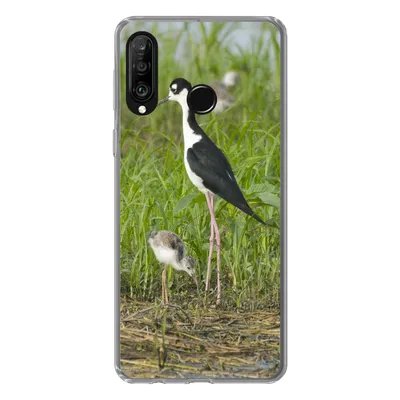 Produktbild von MuchoWow® Handyhülle Schutzhülle Hülle für Huawei P30 Lite Vogel - Gras - Küken - Sumpf Silikon Softcase Handy Hülle - Handyhülle