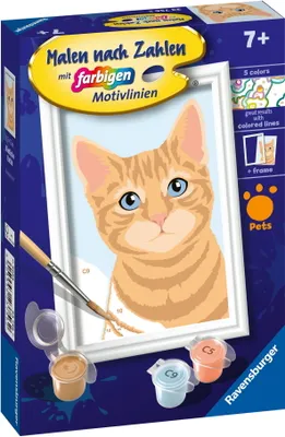 Productafbeelding van Kleuren naar nummer - Schattige kat