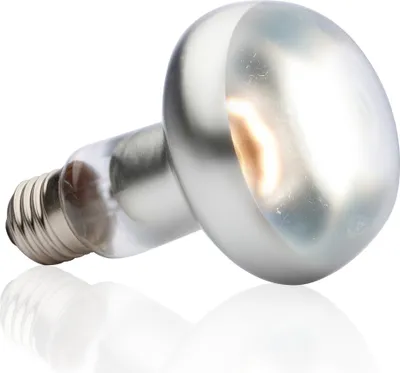 Produktbild von Hagen EX TightBeam Tageslichtleuchte SG Spot R25/100; PT2138