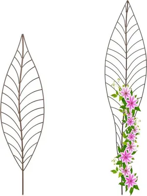 Imagen del producto de Juego de soportes metálicos para plantas trepadoras, con 2 enrejados de diferentes tamaños