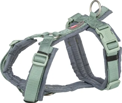 Productafbeelding van Trixie Premium trekkinghalsband, salie/grijs, maat: XL