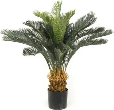 Produktbild von artplants.de Kunstpalme Cycas Revoluta Palme NANAO, 90cm - Deko Cycas Palme