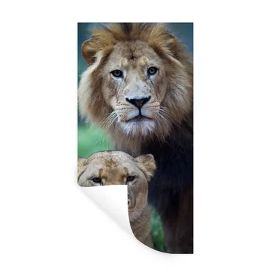 Produktbild von MuchoWow® Wandtattoo Wandsticker Wandaufkleber Porträt - Löwe 20x40 cm Selbstklebend und Repositionierbar - Selbstklebend - Fototapeten