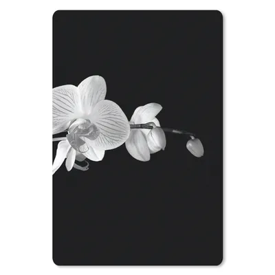 Produktbild von MuchoWow® Mauspad Mousepad Orchidee - Blumen - Schwarz - Rosa - Knöpfe 18x27 cm - Mousepads - Maus Mat - Pad - Mausunterlage