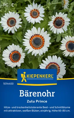 Artikelbild 2 von 'Bärenohr Zulu Prince' aus der Kategorie Blumensamen